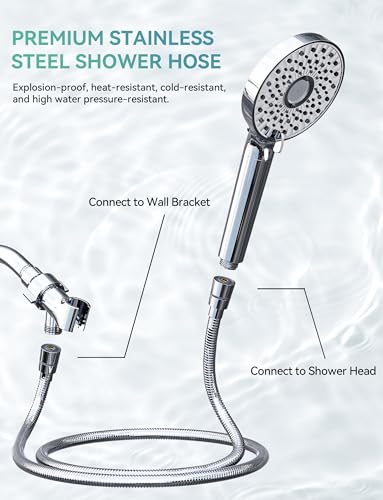 Filtered Shower Head with Handheld