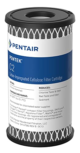 Pentair Pentek C2 Carbon Water Filter