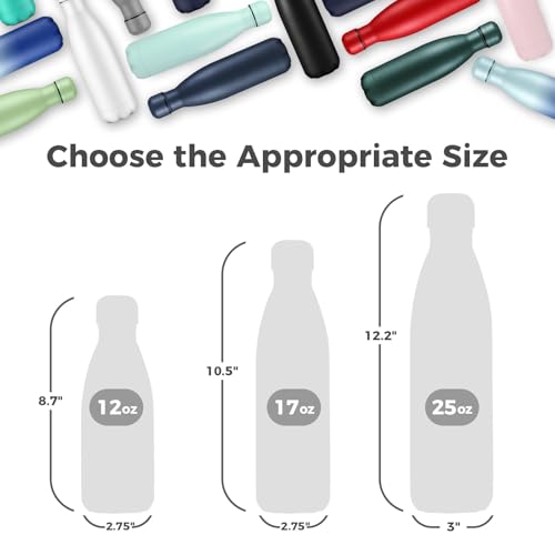 17oz Insulated Stainless Steel Water Bottle