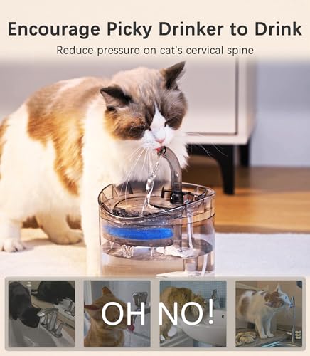 Cat Water Fountain Animal Water Dispenser 61OZ