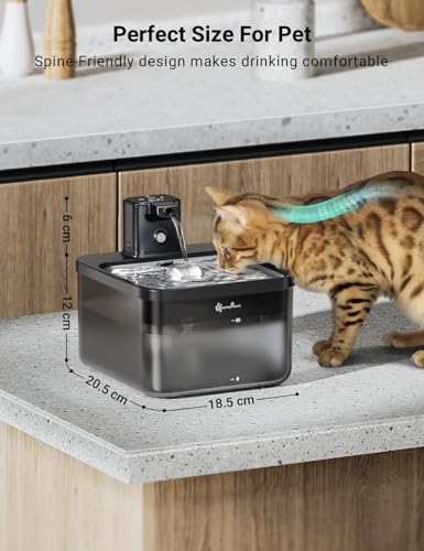 Cat Water Fountain Cordless
