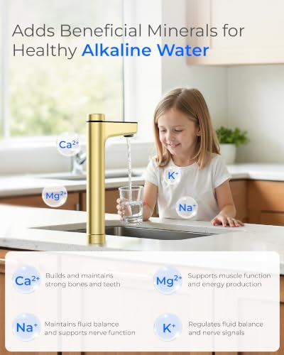 X16 BAJ Alkaline Mineral Reverse Osmosis System
