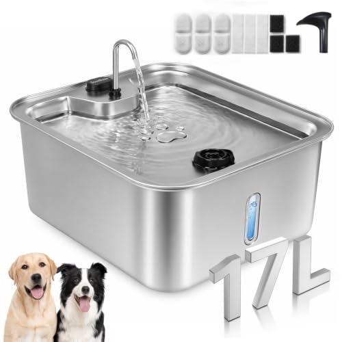 Cat Large Dog Water Fountain
