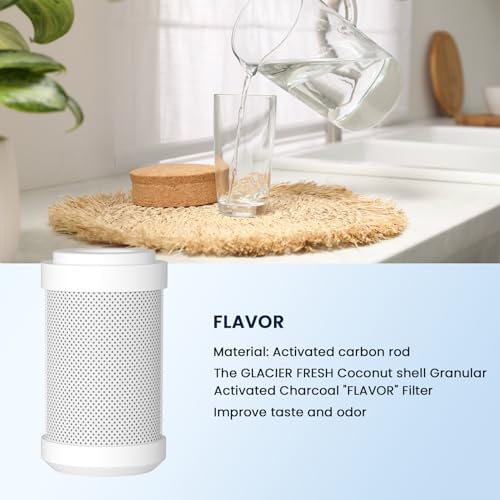 Replacement Filter for GFRVWP03 RV Water Filter System 2 set (6 Count)