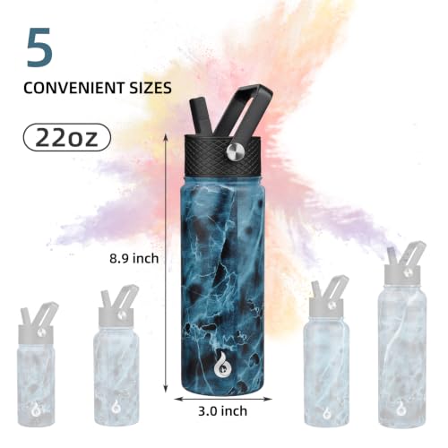 22oz Insulated Water Bottle with Straw Lid