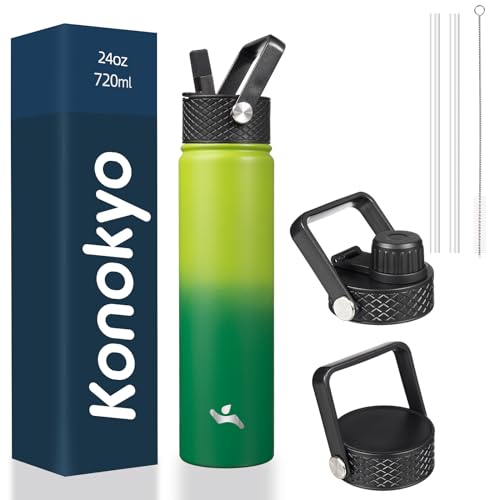 24 oz Insulated Stainless Steel Water Bottle with Straw Lid