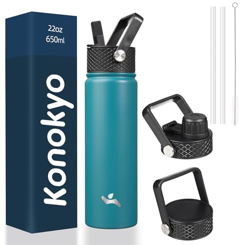 22 oz Insulated Stainless Steel Water Bottle with Straw Lid