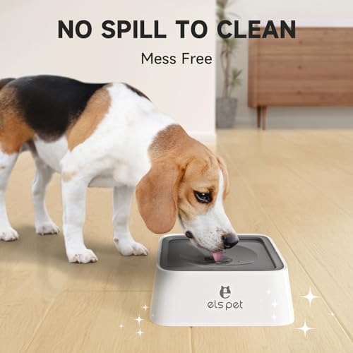 Grey 70oz 2L No Spill Dog Cat Bowl Carbon Filter Water Dispenser
