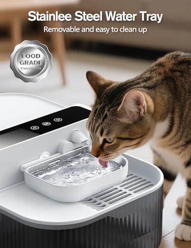Wireless Cat Water Fountain with No Filters