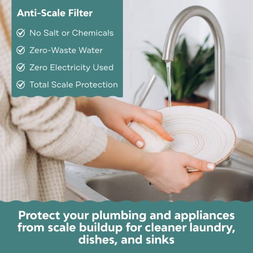 Water Descaler for Tankless Water Heater and Whole