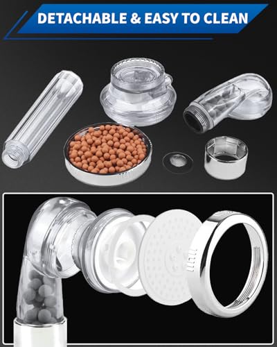 Filtered Shower Head with Handheld