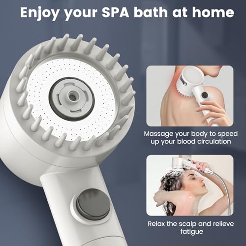 Filtered Shower Head with Handheld
