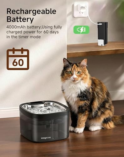 Cat Water Fountain Cordless