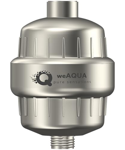 Heavy Duty NO BS Shower Filter