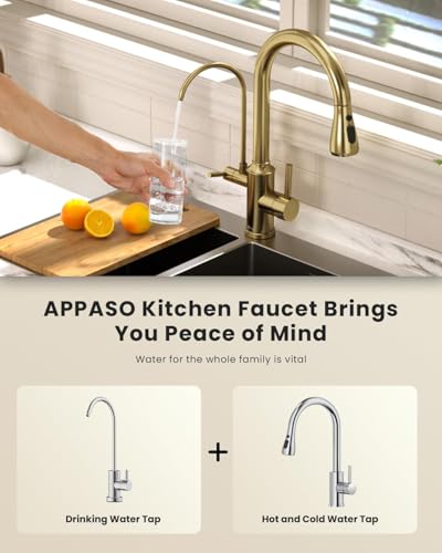 3 in 1 Kitchen Faucet with Pull Down Sprayer & Water Filter Spout