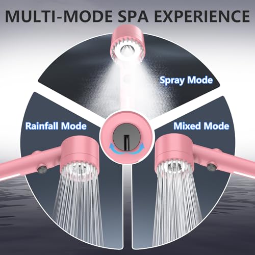 Filtered Shower Head with Handheld