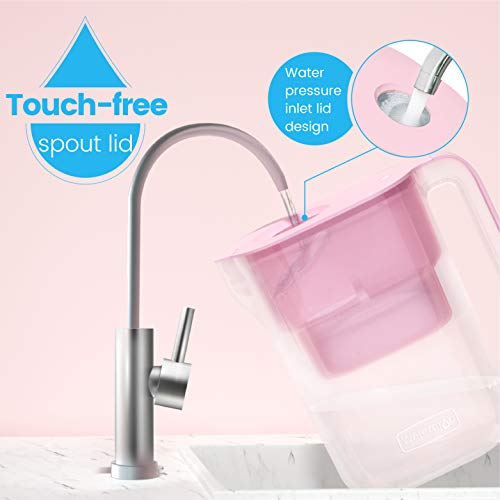 PT 05P Water Filter Pitcher with 4 Filters (2 Count)