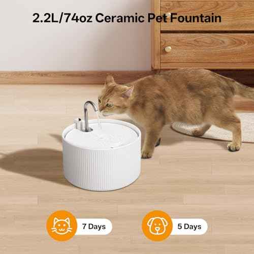 Ceramic Cat Water Fountain