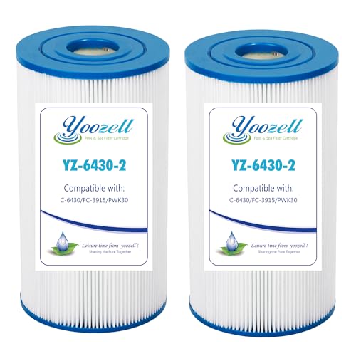 6430 Pool Filter Cartridge Replacement 2 Pack (2 Count)