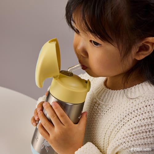 Looney Tunes Insulated Water Bottle for Kids