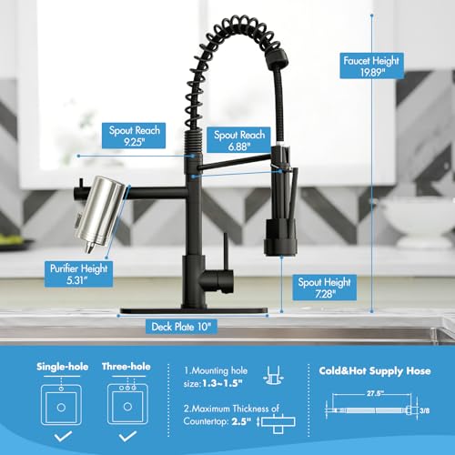 Black Kitchen Faucet with Water Filter