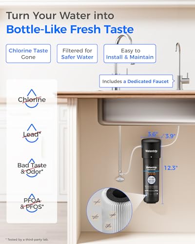 10UB Under Sink Water Filter System with Dedicated Faucet