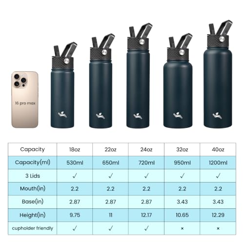 18 oz Insulated Stainless Steel Water Bottle with Straw Lid