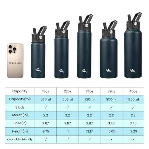 32 oz Insulated Stainless Steel Water Bottle with Straw Lid
