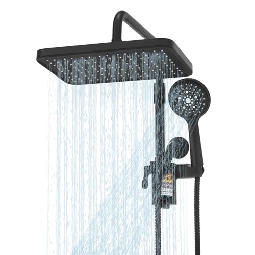 Filtered Shower Head with Handheld Spray Combo