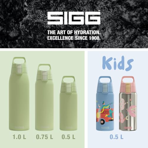 Insulated Water Bottle