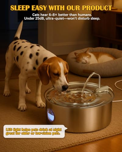 Dog Water Fountain for Large Dogs