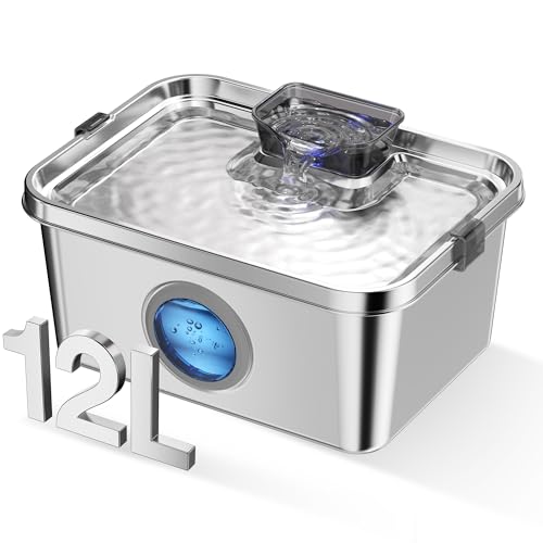 Dog Water Fountain