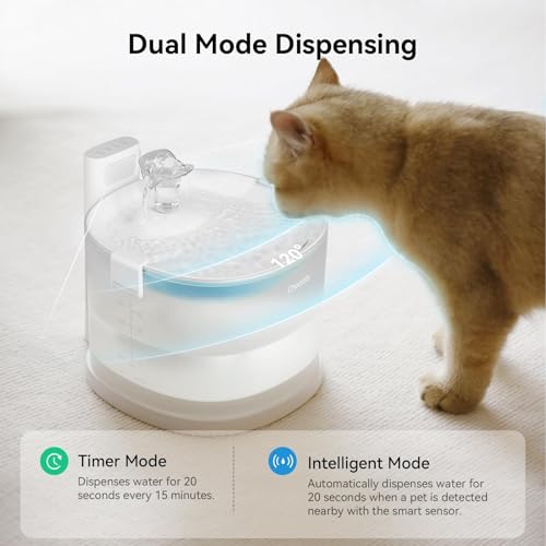 Pumpless Cat Water Fountain