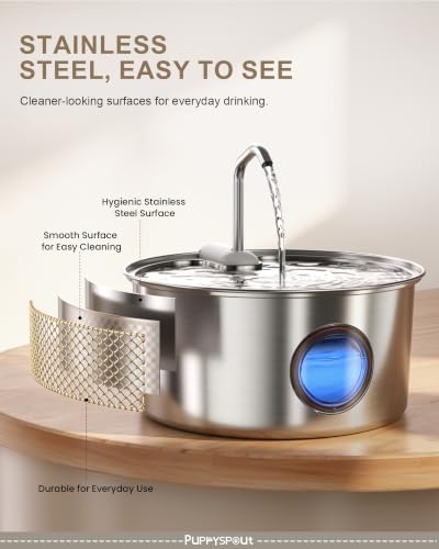 Cat Water Fountain Stainless Steel
