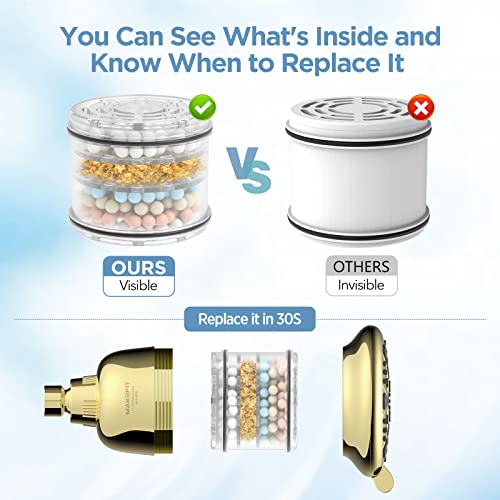 Filtered Shower Head