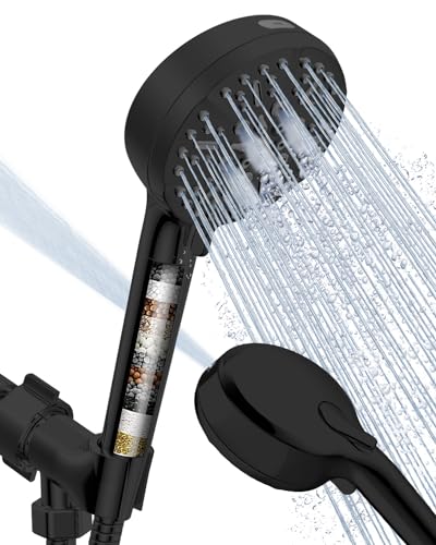 Filtered Shower Head with Handheld Matte Black