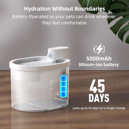 Cat Water Fountain