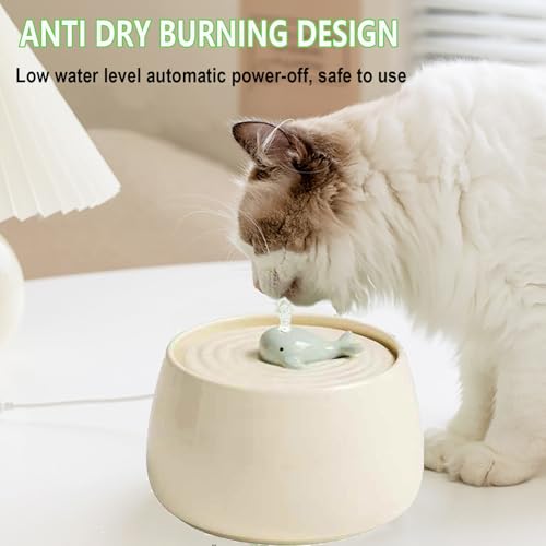 Ceramic Pet Feeding and Drinking Bowls