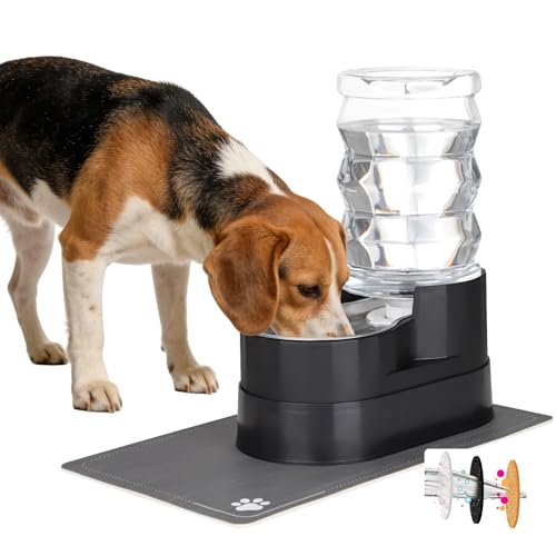 7L Elevated Dog Water Dispenser