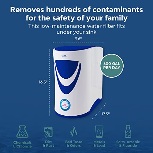 AMI Direct Flow Tankless RO Under