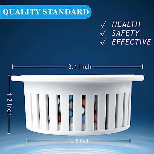 2 Pack Shower Filtered Cartridges