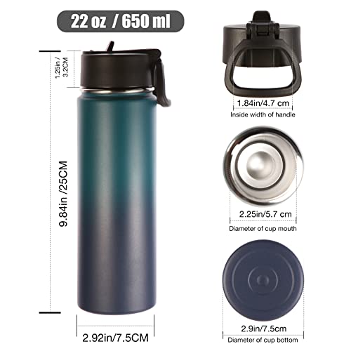 Insulated Water Bottles with Straw Bulk 2 Pack (2 Count)