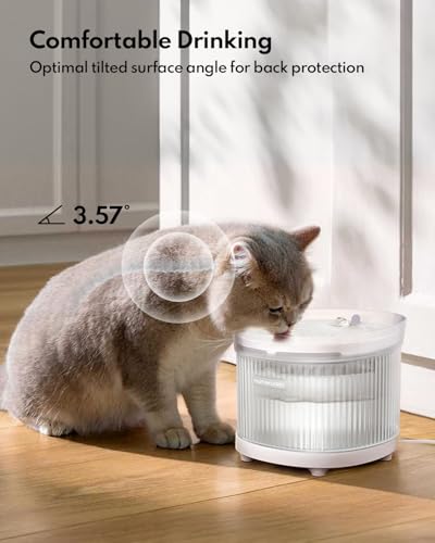 Cat Water Fountain with Wireless Pump