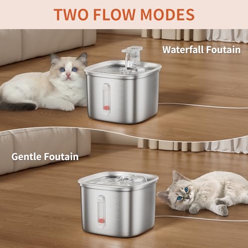 Cat Water Fountain