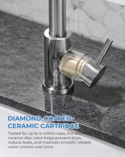 Kitchen Faucet with Pull Down Sprayer