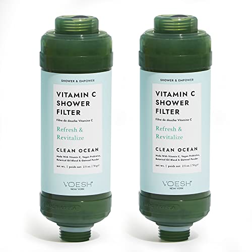 Vitamin C Shower Filter (2 Count)