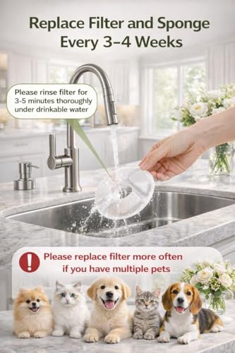 Viva Paws Cat Water Fountain Stainless Steel