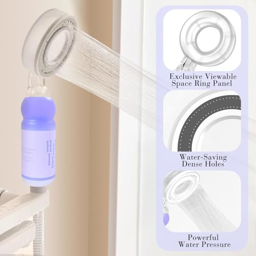 Vitamin C & Aromatherapy Skincare Spa Shower Head with Handheld