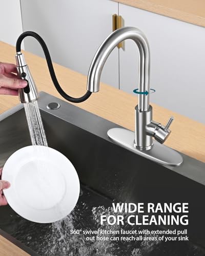 Kitchen Faucet
