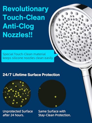 Filtered Shower Head with Handheld
